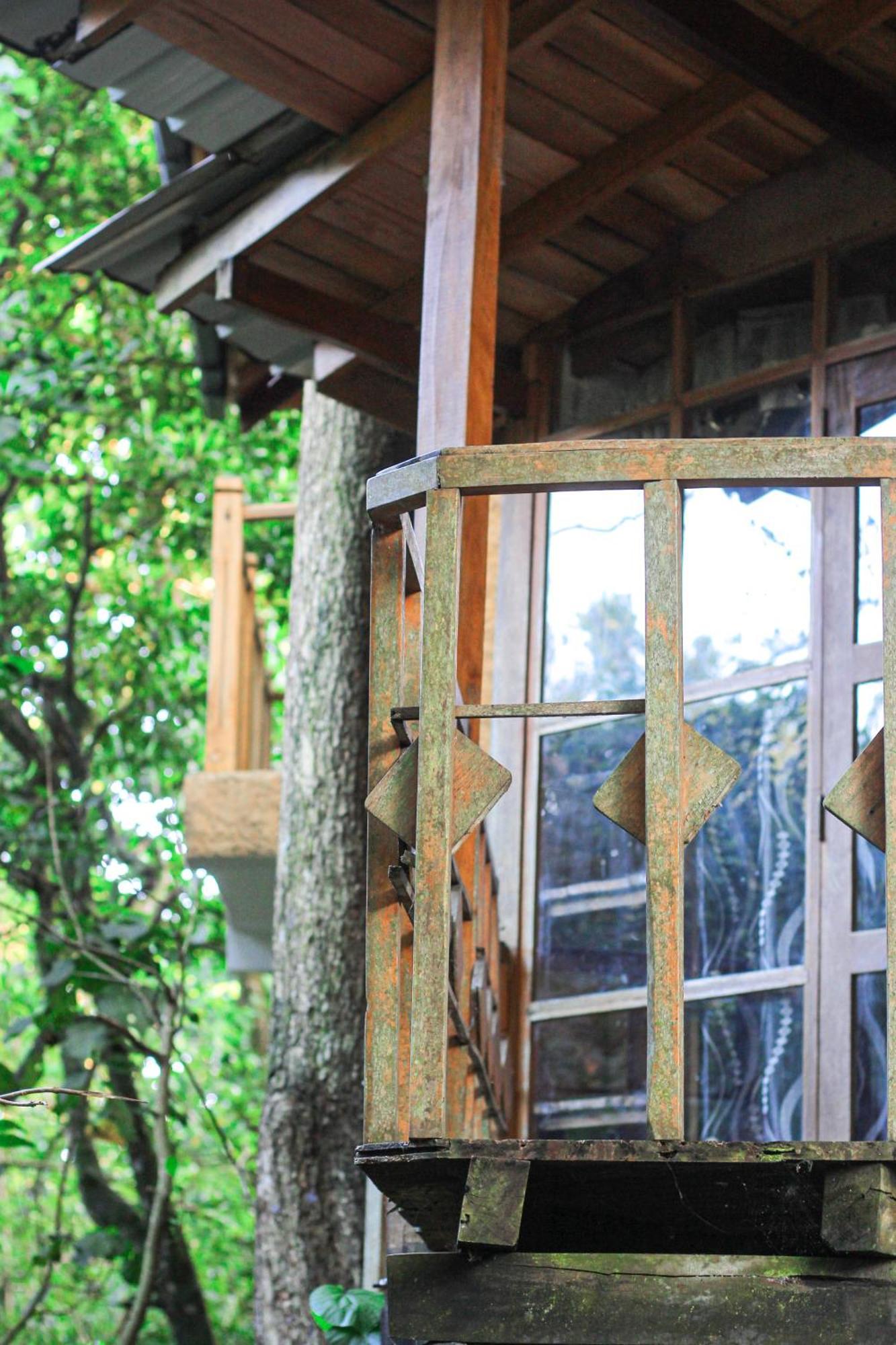 Seasons Four Eco Friendly Treehouse Guest House Matara Exterior photo