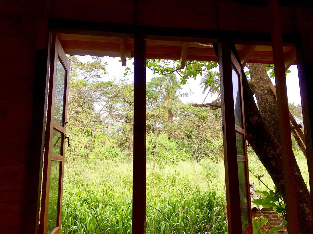 Seasons Four Eco Friendly Treehouse Guest House Matara Exterior photo